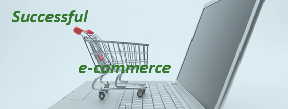 Successful e-commerce