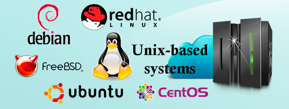 Installation, configuration and administration of Unix and Linux servers